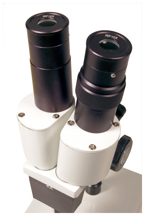 Микроскоп Levenhuk 2ST, бинокулярный - фото №4