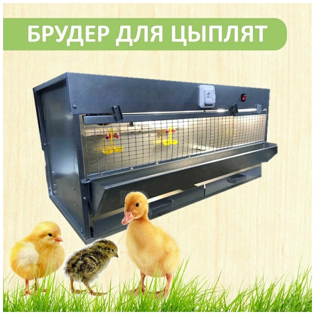 Брудер для 90 цыплят Оптима с терморегулятором Престиж - фотография № 1