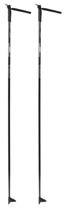 Палки лыжные стеклопластиковые г.Бийск (165 см) 897533