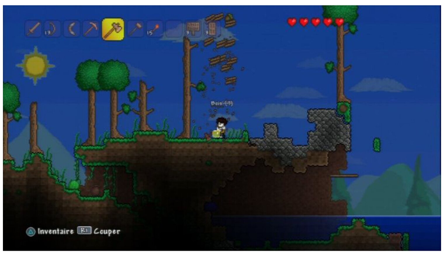 Terraria ps4 отличия фото 13