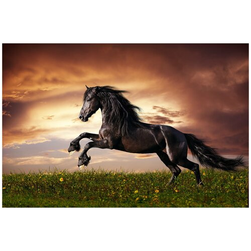 Картина на холсте для интерьера в гостиную/зал/спальню 