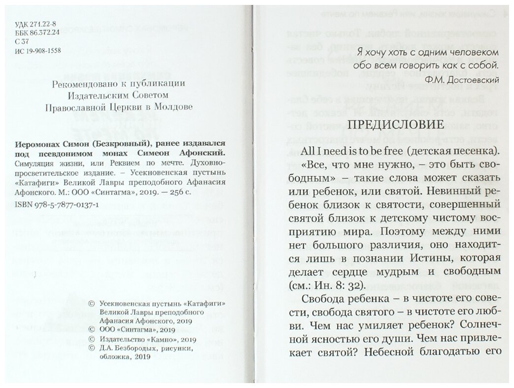 Симуляция жизни, или Реквием по мечте - фото №4