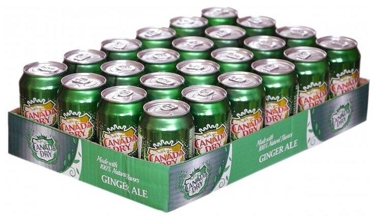 Canada Dry Ginger Ale 0.33л Упаковка 24 шт - фотография № 8