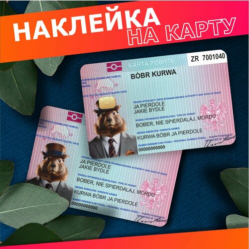 Наклейка на карту банковскую bobr kurwa