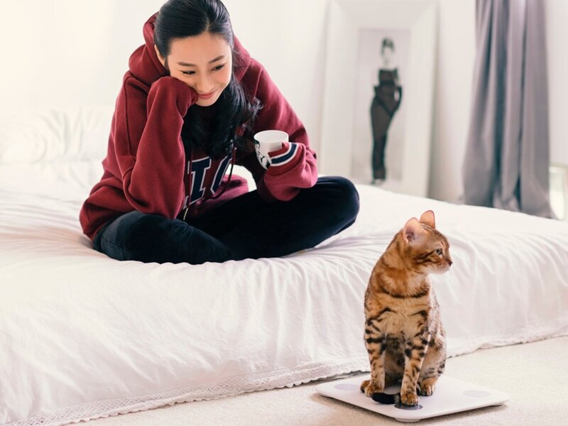 Умные весы Xiaomi S400: подключение к умному дому за 5 шагов