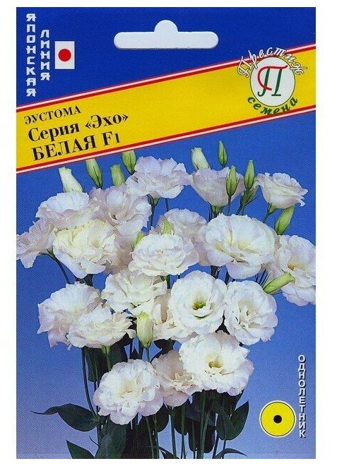 Эустома Эхо Белая F1 10шт. (Япония) (Престиж)
