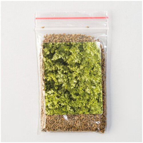 Семена Петрушка 