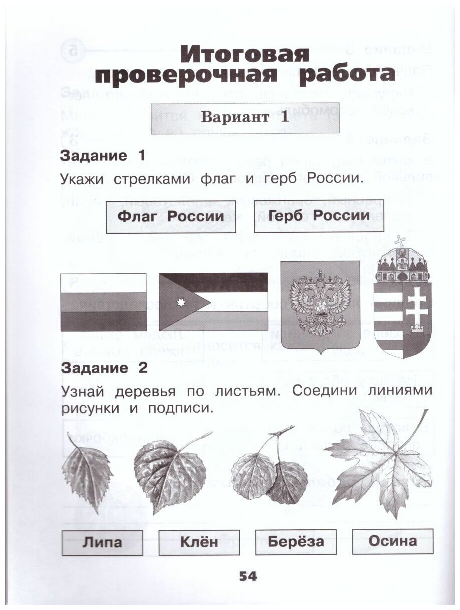 Плешаков А. А, Плешаков С. А. "Окружающий мир. 1 класс. Проверочные работы" офсетная