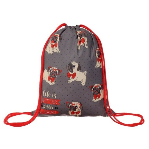 Мешок для обуви 420 х 330 мм, Оникс 