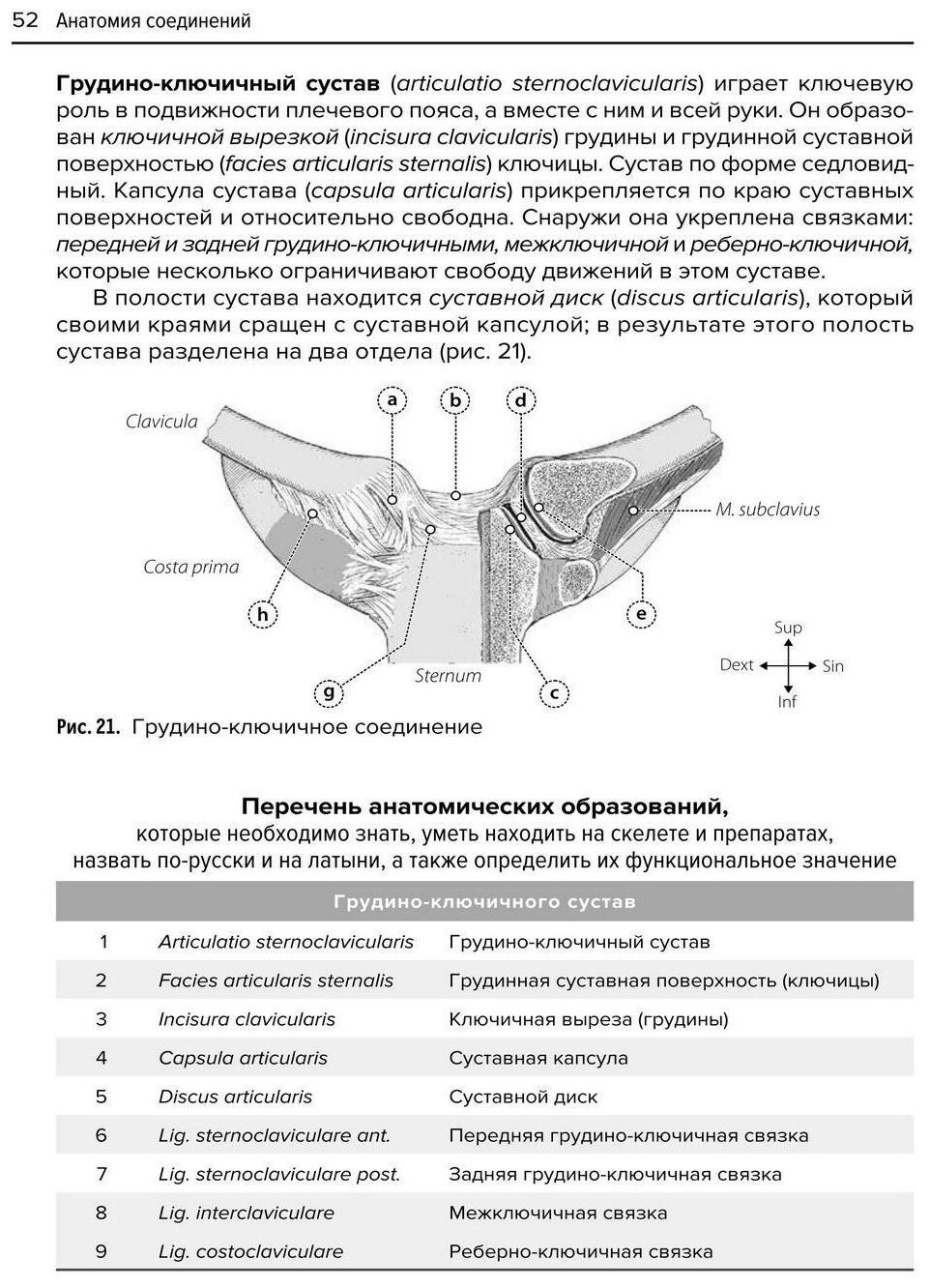Анатомия соединений (Козлов Валентин Иванович) - фото №2