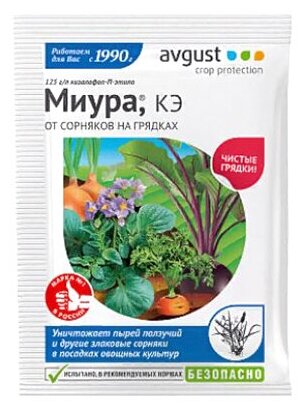 Миура 12мл N80 - фотография № 3