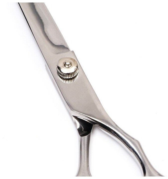 Ножницы для стрижки животных прямые с упором для пальца, прорезиненные ручки, для правшей - фотография № 4