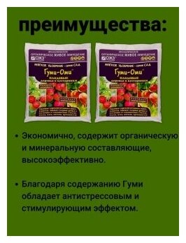 Удобрение для плодовых деревьев и кустарников для яблонь, груш, малины, винограда, крыжовника, сливы Набор 2 упаковки по 1 кг. ОЖЗ - фотография № 4