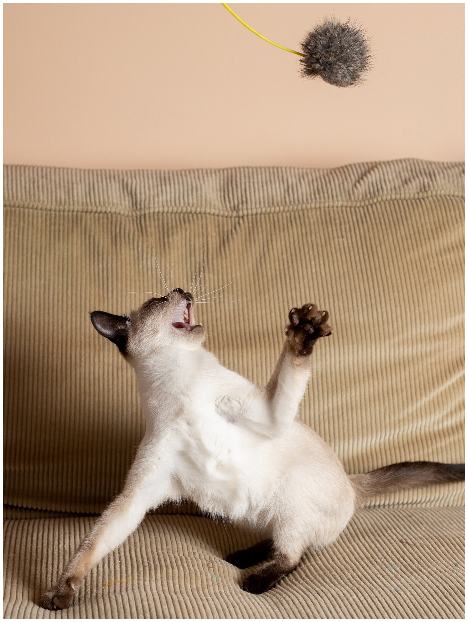Игрушка-Дразнилка для кошек Japan Premium Pet в виде мехового помпона, с функцией пробуждающей инстинкт охотника. - фотография № 8