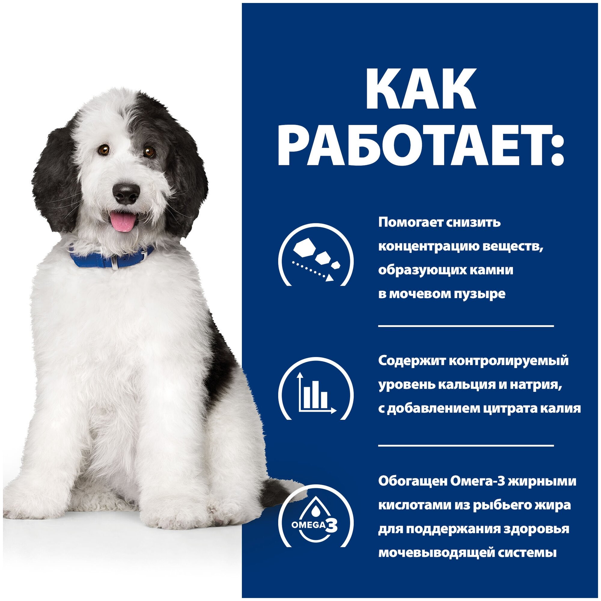 Hill's Prescription Diet Multicare Urinary Care корм для собак при профилактике МКБ (Курица, 1,5 кг.) - фото №4