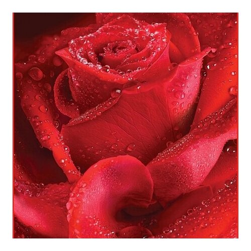 Фотообои Кармен A-016 196х26 м 950₽