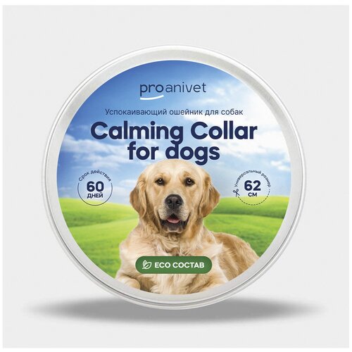 Успокаивающий ошейник для собак с феромонами / ProAnivet Calming Collar / Фиолетовый / 62 см