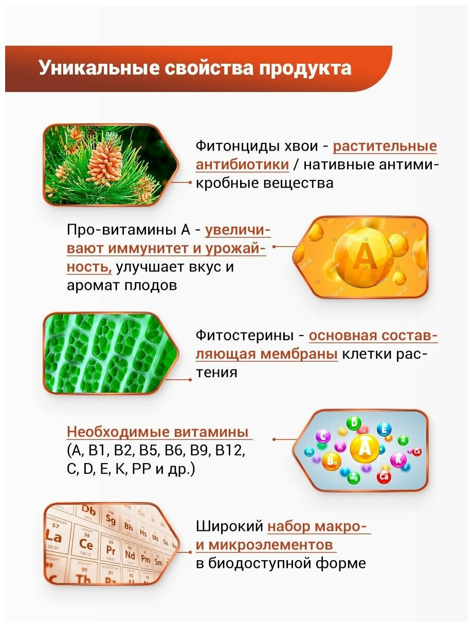 БИО-комплекс Экстракт Хвои 0,25л - фотография № 12