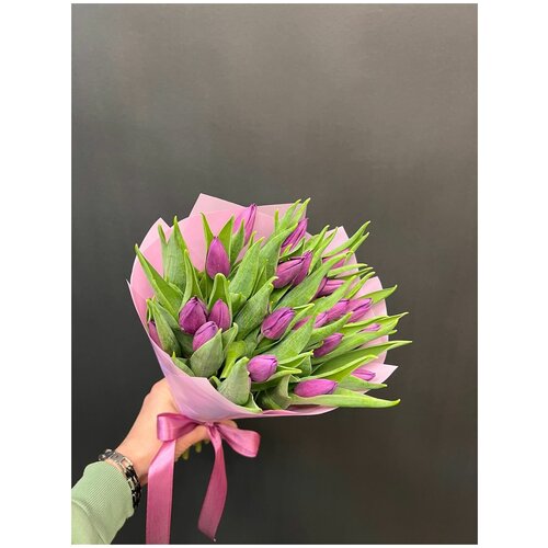 Фиолетовые тюльпаны 25шт