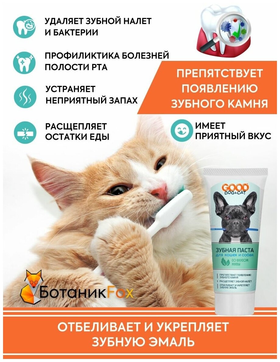 Зубная паста для кошек и собак - фотография № 3
