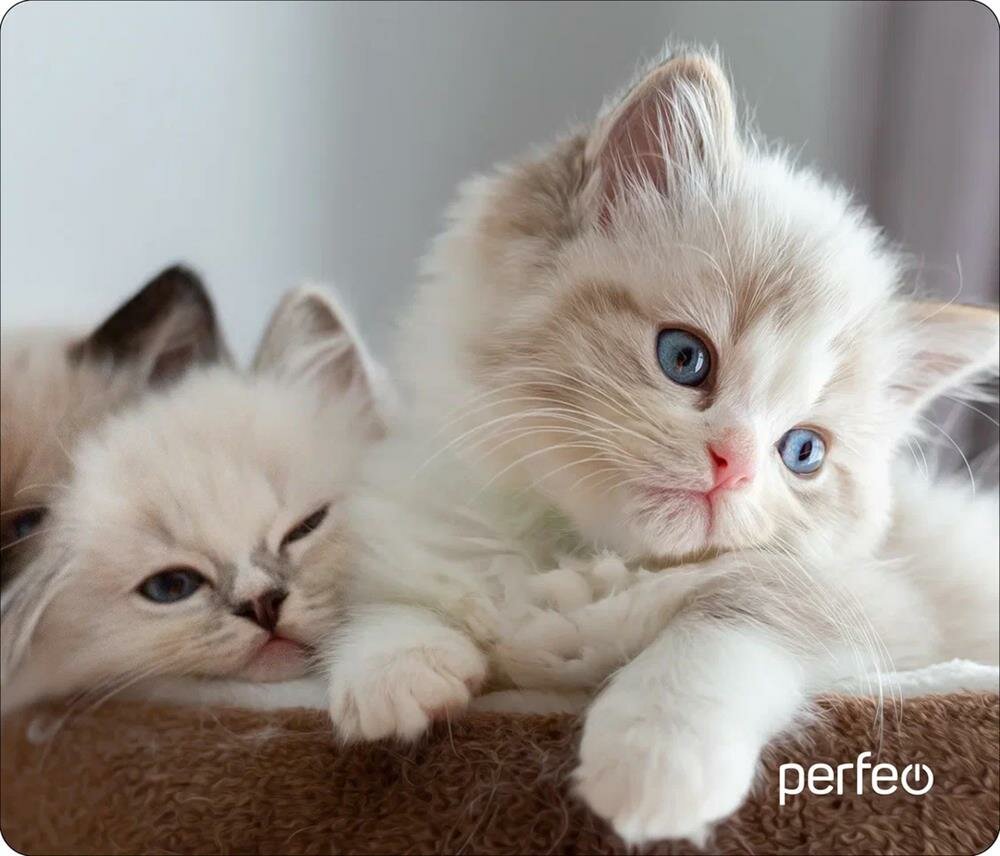 Коврик PERFEO (PF_D0639) AND quot Cat AND quot (рисунок)