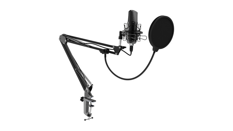 Микрофон Ritmix Black (RDM-169)