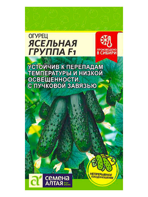 Семена Огурец "Ясельная Группа", F1, 5 шт