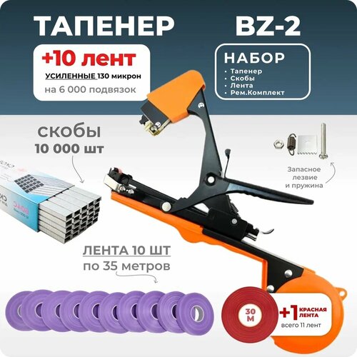 черный, фиолетовый, оранжевый