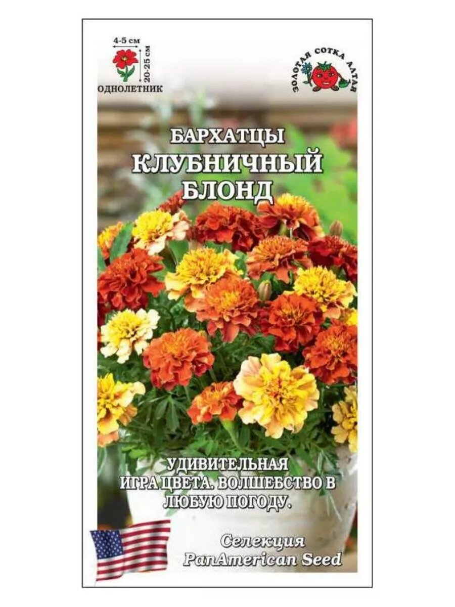 Бархатцы Клубничный блонд / 5шт