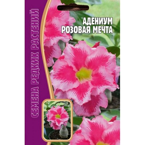 Адениум розовая мечта/ Семена Адениум 3 шт./ Семена комнатных цветов.