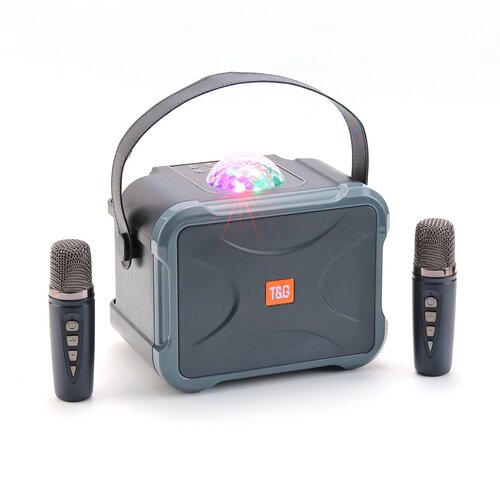 Портативная беспроводная караоке система с двумя микрофонами FM радио и светомузыкой 365000₽