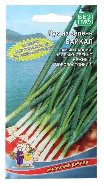 Семена Лук на зелень "Байкал" 025 г