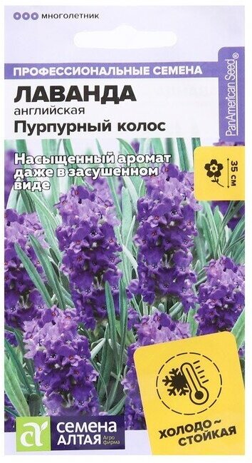 Семена цветов Лаванда "Пурпурный колос", узколистная, Сем. Алт, ц/п, 5 шт