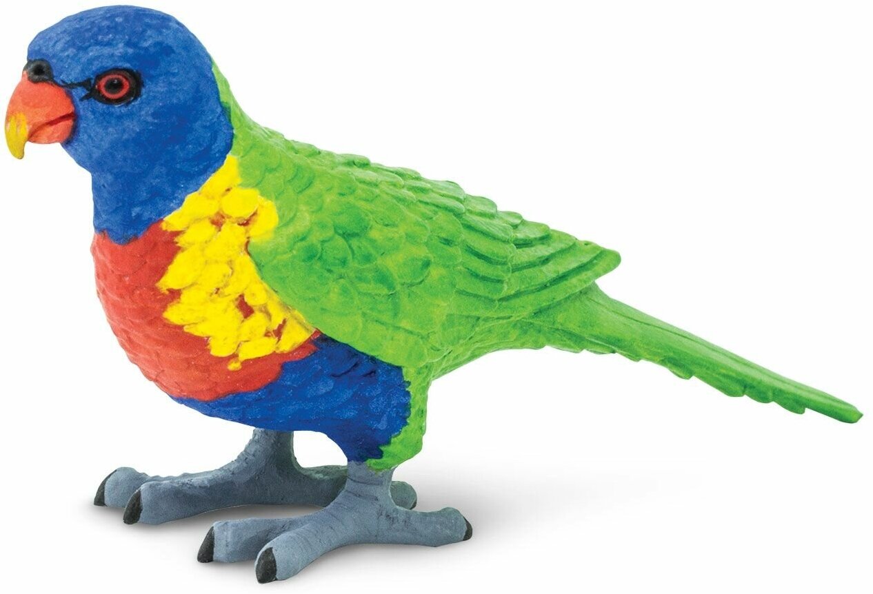 Фигурка животного попугая Safari Ltd Многоцветный лорикет, для детей, игрушка коллекционная, 150229