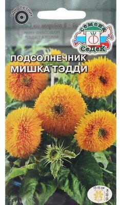Семена цветов Подсолнечник "Мишка Тэдди "F1 1 г