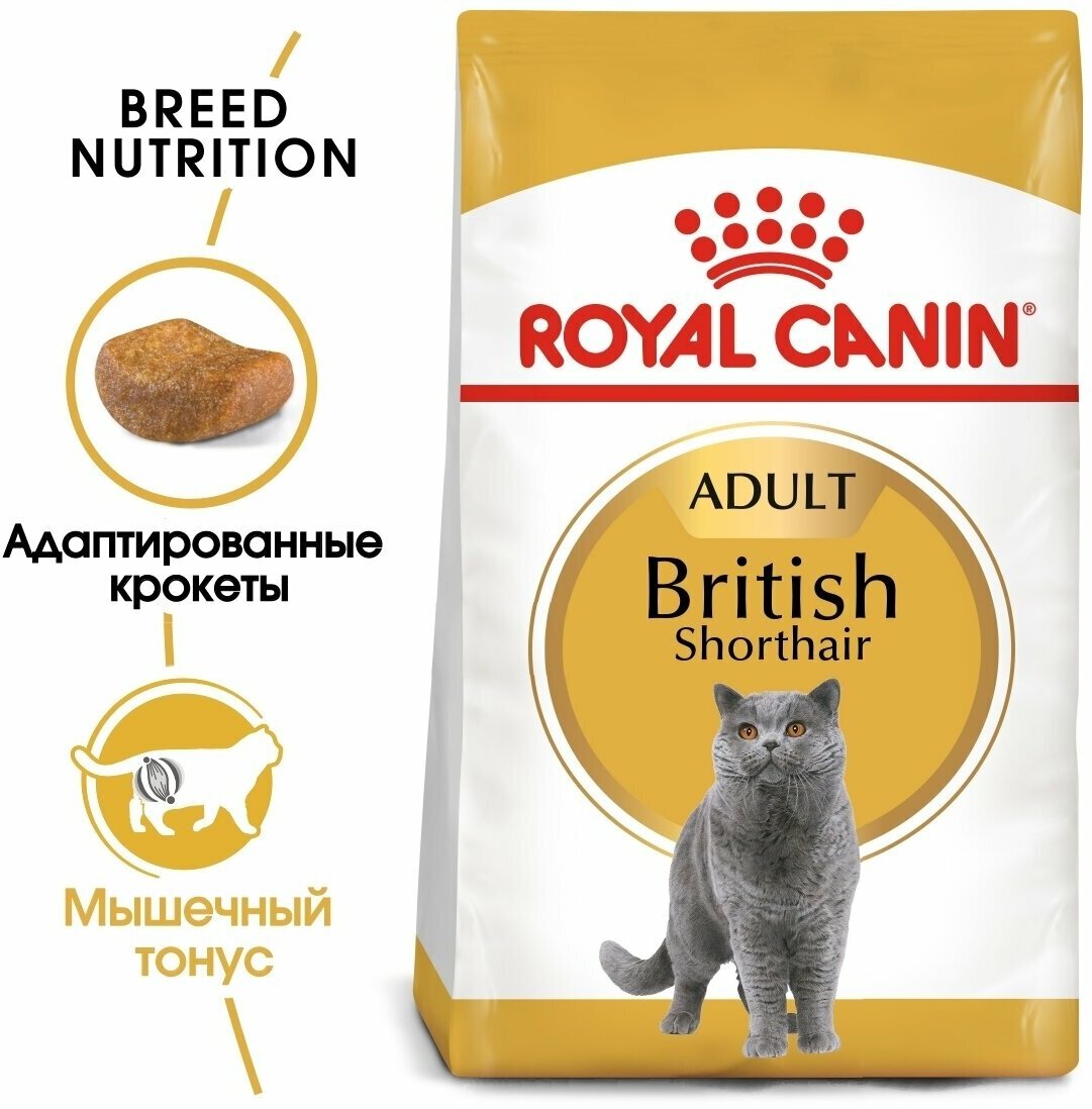 Royal Canin British Shorthair Adult 10кг