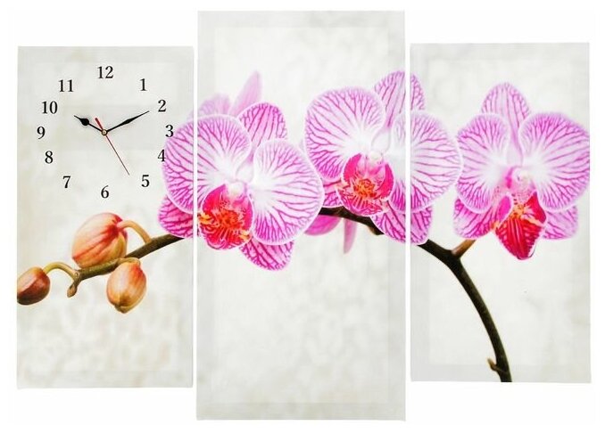 Часы настенные, модульные, серия: Цветы, "Розовые цветки орхидеи", 60х80 см