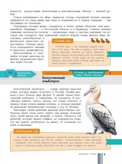 Красная книга России (Пескова И.М., Дунаева Ю.,Новичонок А., Полякова Н., Валуйский М., Снегирёва Е.) - фото №16