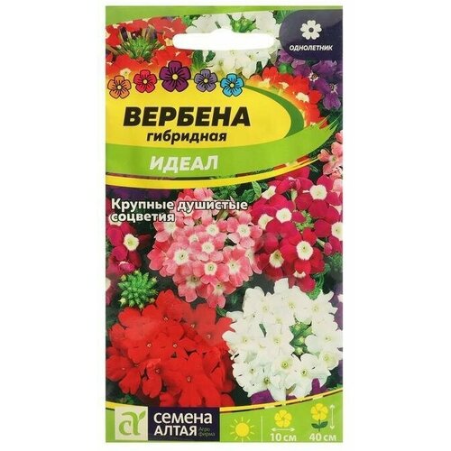 Семена цветов Вербена Идеал, гибридная 0,1г 4 упаковки