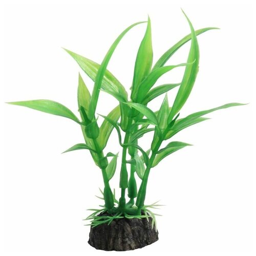 Растение Laguna Гигрофила зеленая для акариумов (10 см)