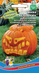 Семена Тыква "Хеллоуин", 5 шт