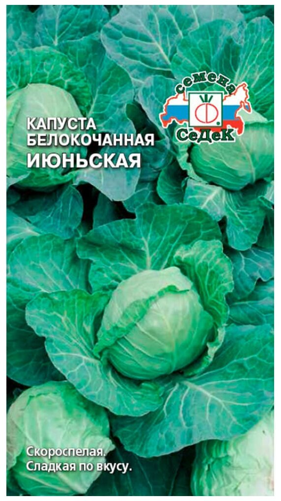 Семена Капуста Белокочанная Июньская 05г пачка СеДеК.