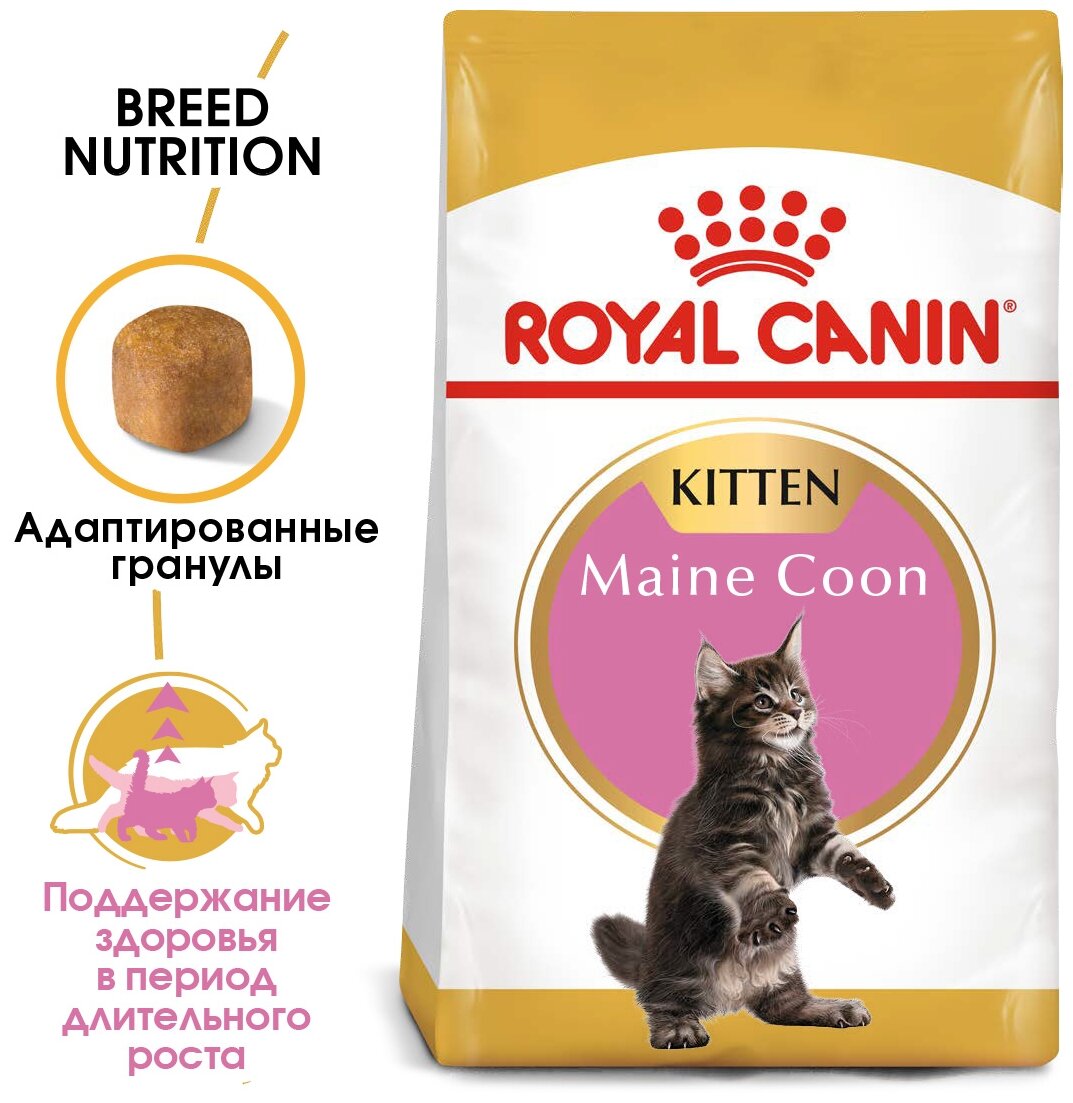 ROYAL CANIN Kitten Maine Coon Сухой корм для котят породы мейн-кун в возрасте от 3 до 15 месяцев, 400 г