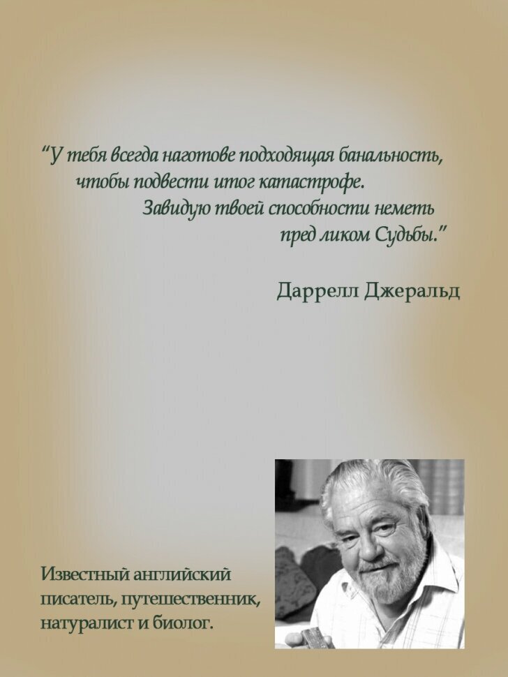 Три билета до Эдвенчер. Под пологом пьяного леса - фото №17