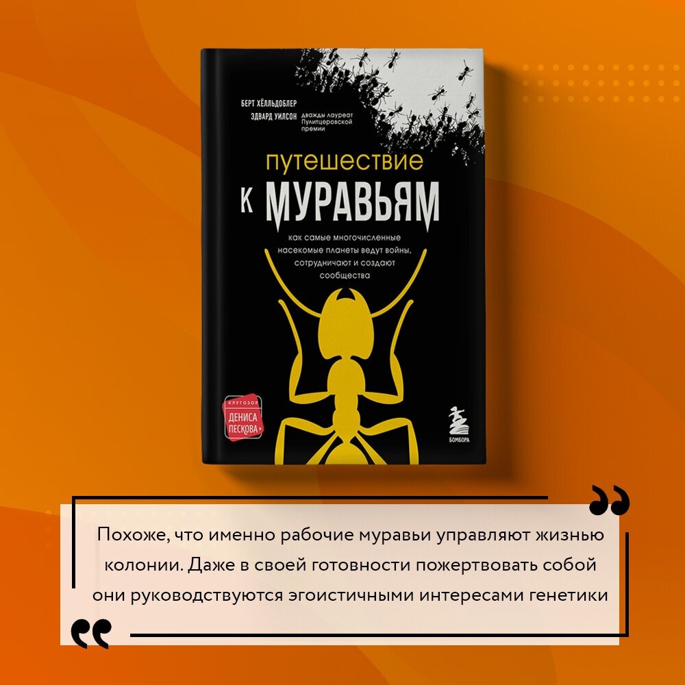 Путешествие к муравьям (Эдвард Уилсон, Берт Хёлльдоблер) - фото №7