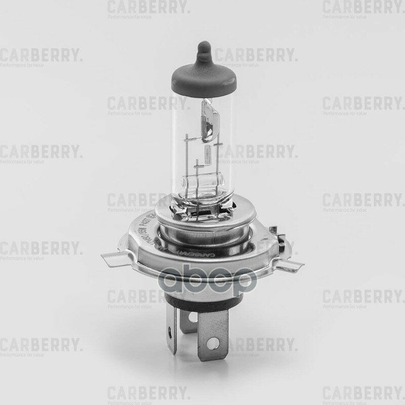 Лампа H4 12V (60/55W) Day&Night CARBERRY арт. 31CA7