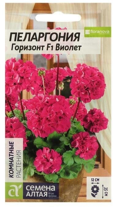 Семена цветов Пеларгония "ГоризонтВиолет", зональная, Сем. Алт, ц/п, 4 шт