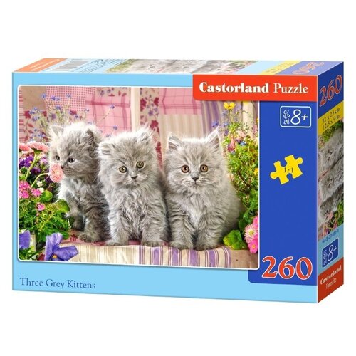 Пазлы Castorland Серые котята, 260 элементов (B-27491) пазл castorland 260 деталей серые котята