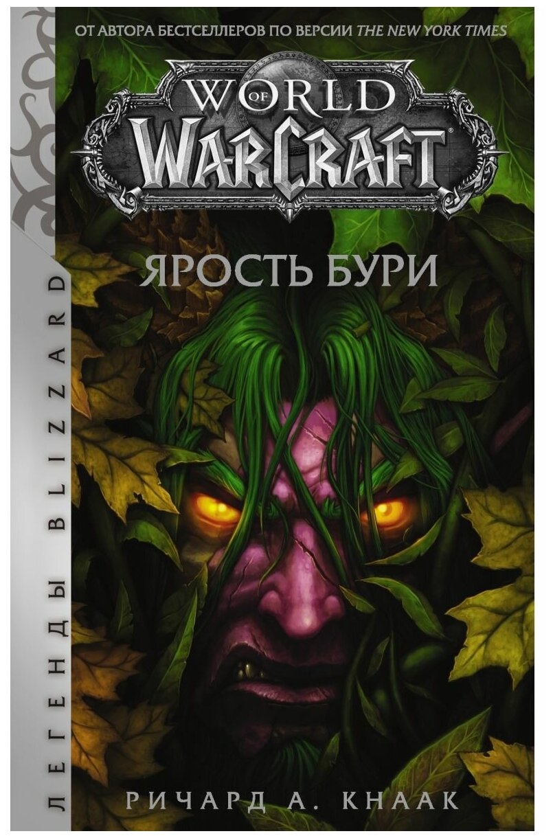 World of Warcraft: Ярость Бури - фото №1