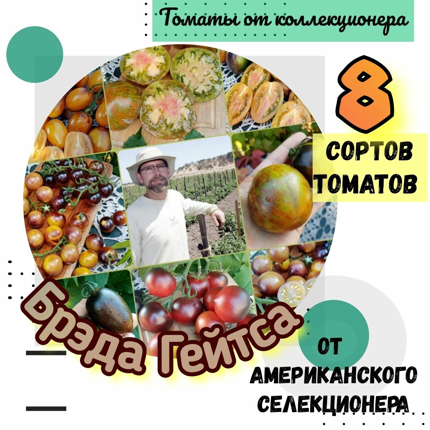 Семена томатов, 8 сортов селекции Брэда Гейтса, США, коллекционные томаты